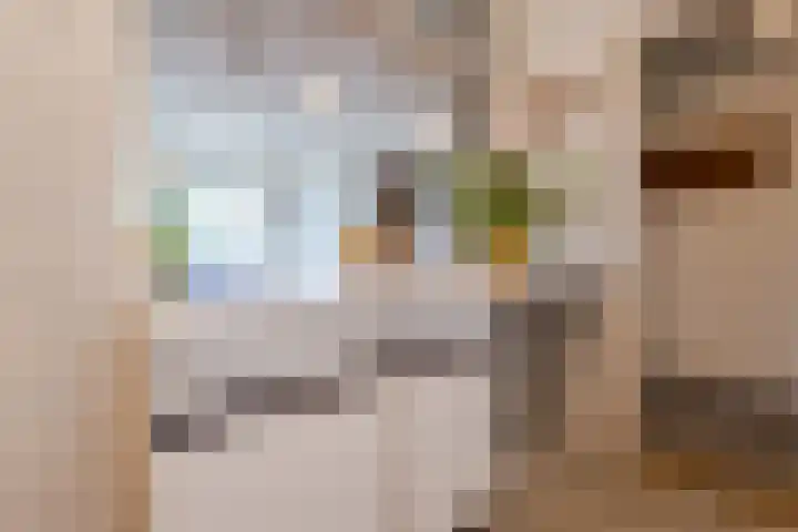 Oude Kleefsebaan 307 Berg en Dal thumbnail 11
