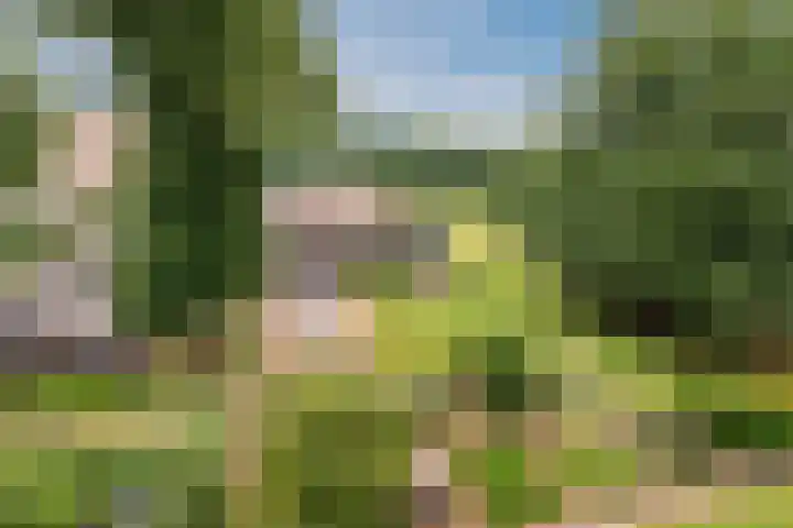 Oude Kleefsebaan 307 Berg en Dal thumbnail 18