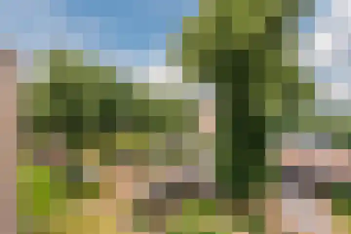 Oude Kleefsebaan 307 Berg en Dal thumbnail 19