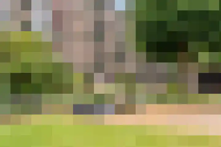 Oude Kleefsebaan 307 Berg en Dal thumbnail 39