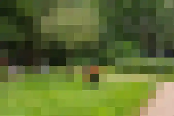 Oude Kleefsebaan 307 Berg en Dal thumbnail 43