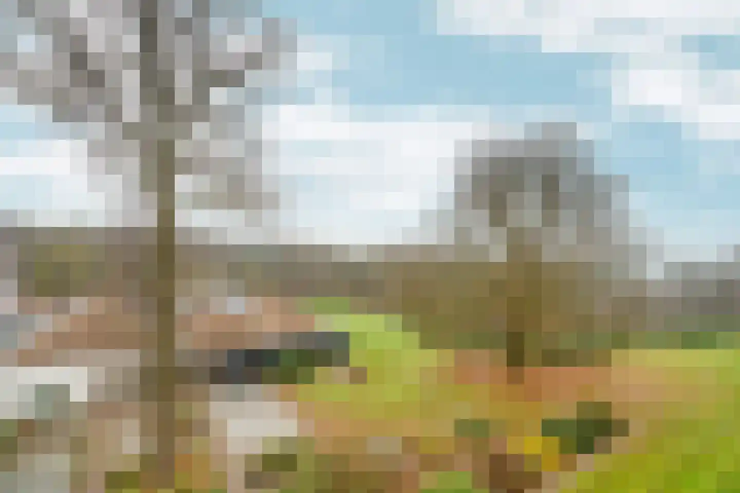 Oude Kleefsebaan 317 Berg en Dal thumbnail 15