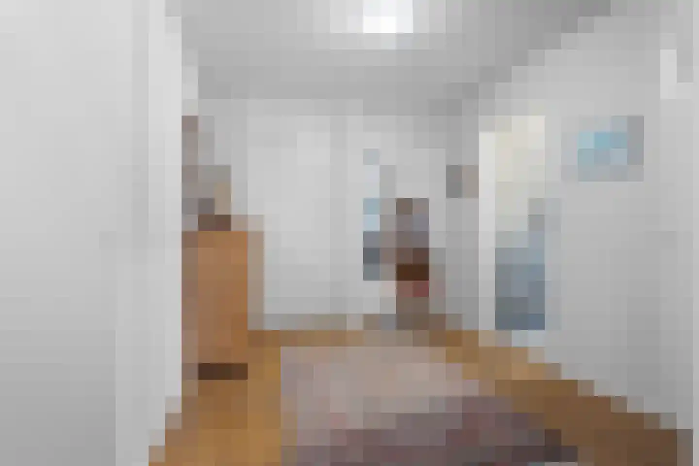 Oude Kleefsebaan 317 Berg en Dal thumbnail 17