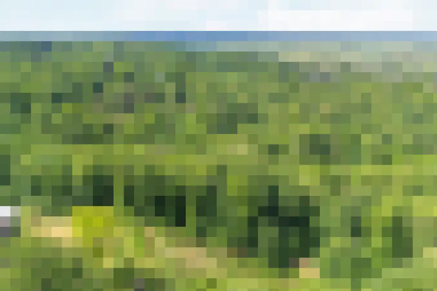 Oude Kleefsebaan 317 Berg en Dal thumbnail 26