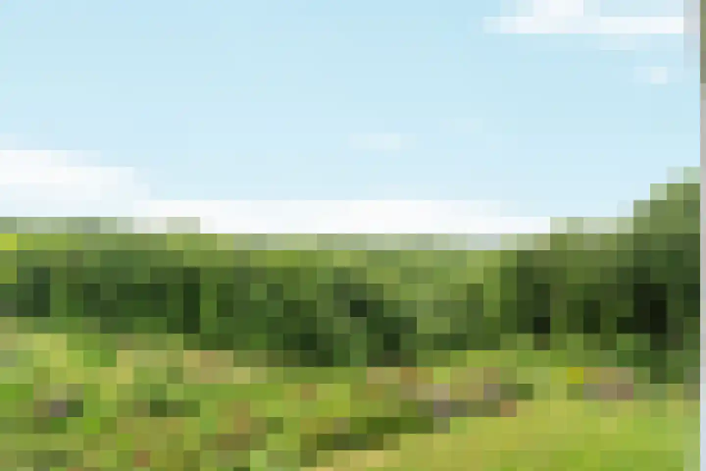 Oude Kleefsebaan 317 Berg en Dal thumbnail 28
