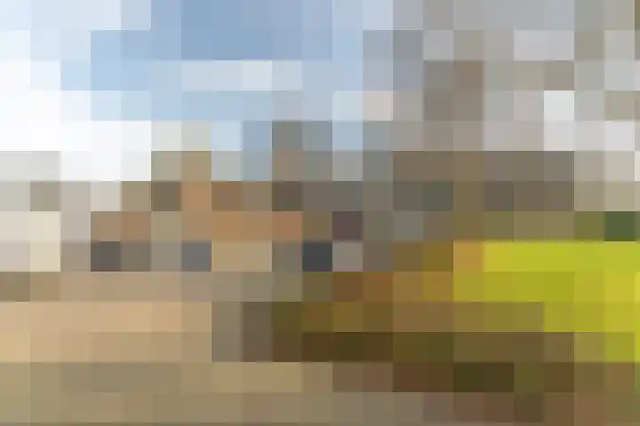 Oude Kleefsebaan 355 Berg en Dal thumbnail 17