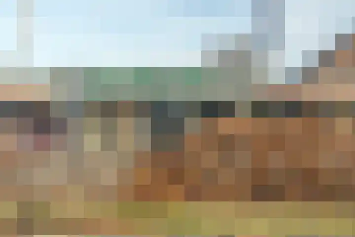 Oude Kleefsebaan 355 Berg en Dal thumbnail 18