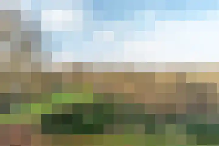 Oude Kleefsebaan 355 Berg en Dal thumbnail 22