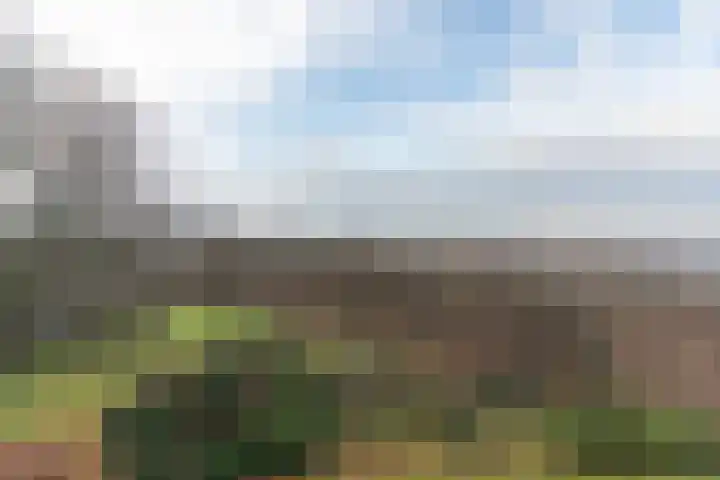 Oude Kleefsebaan 367 Berg en Dal thumbnail 20