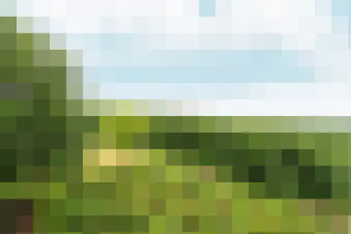 Oude Kleefsebaan 367 Berg en Dal thumbnail 25