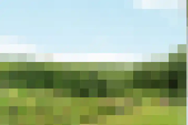 Oude Kleefsebaan 367 Berg en Dal thumbnail 26