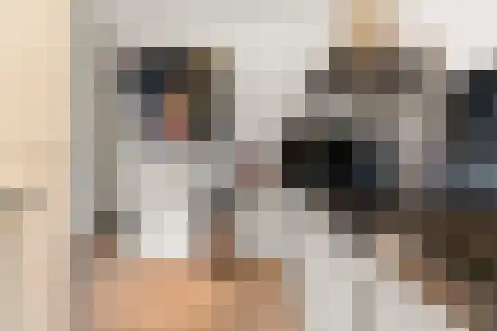 Oude Kleefsebaan 367 Berg en Dal thumbnail 4