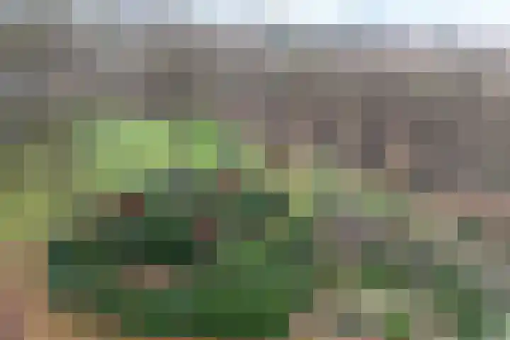 Oude Kleefsebaan 367 Berg en Dal thumbnail 6