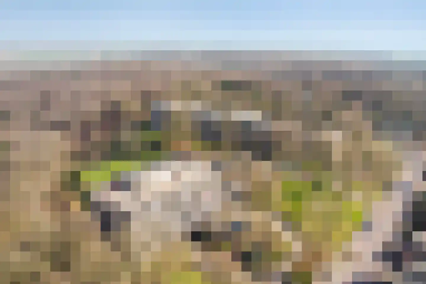 Oude Kleefsebaan 369 Berg en Dal thumbnail 29