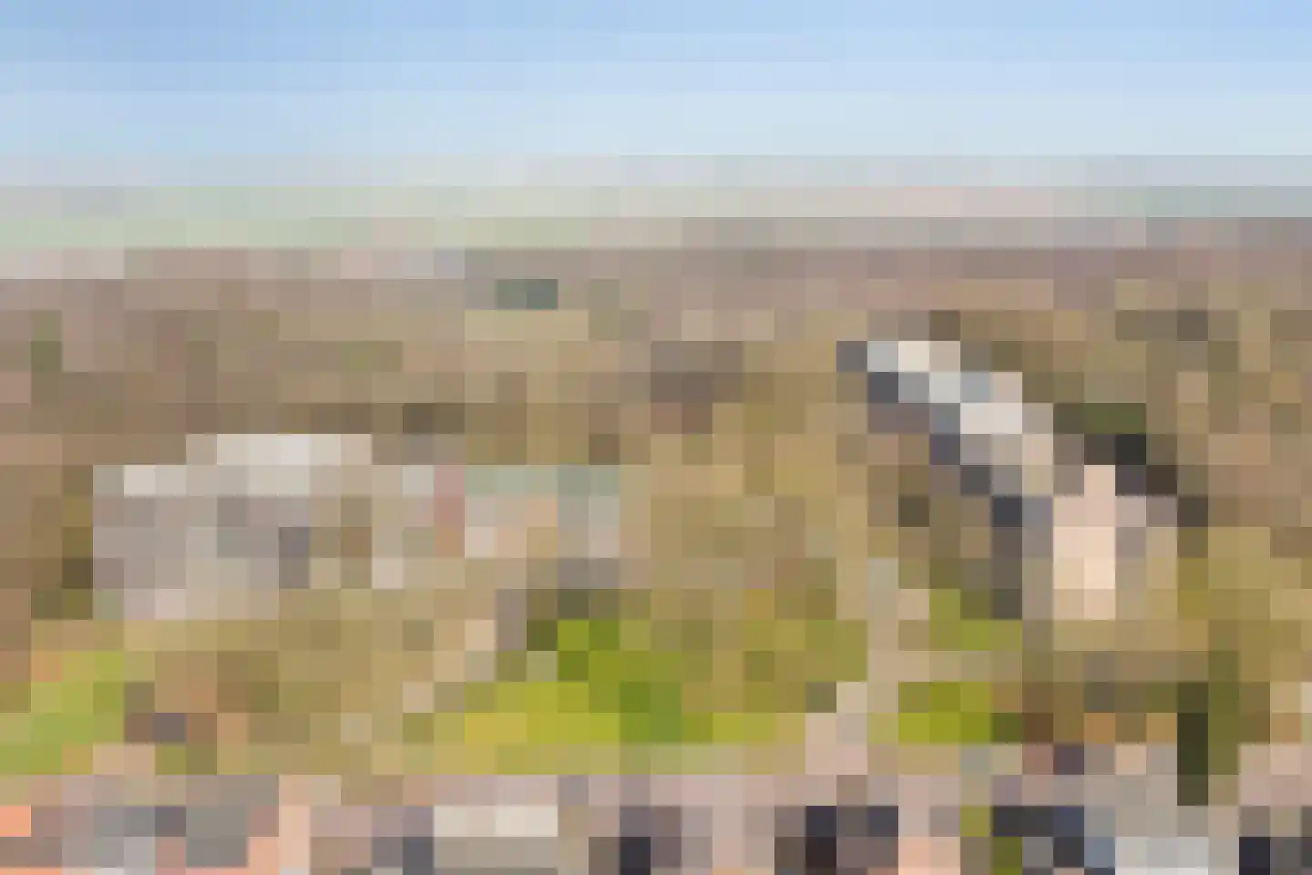Oude Kleefsebaan 369 Berg en Dal thumbnail 30