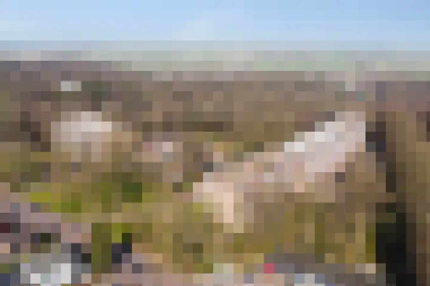 Oude Kleefsebaan 369 Berg en Dal thumbnail 31