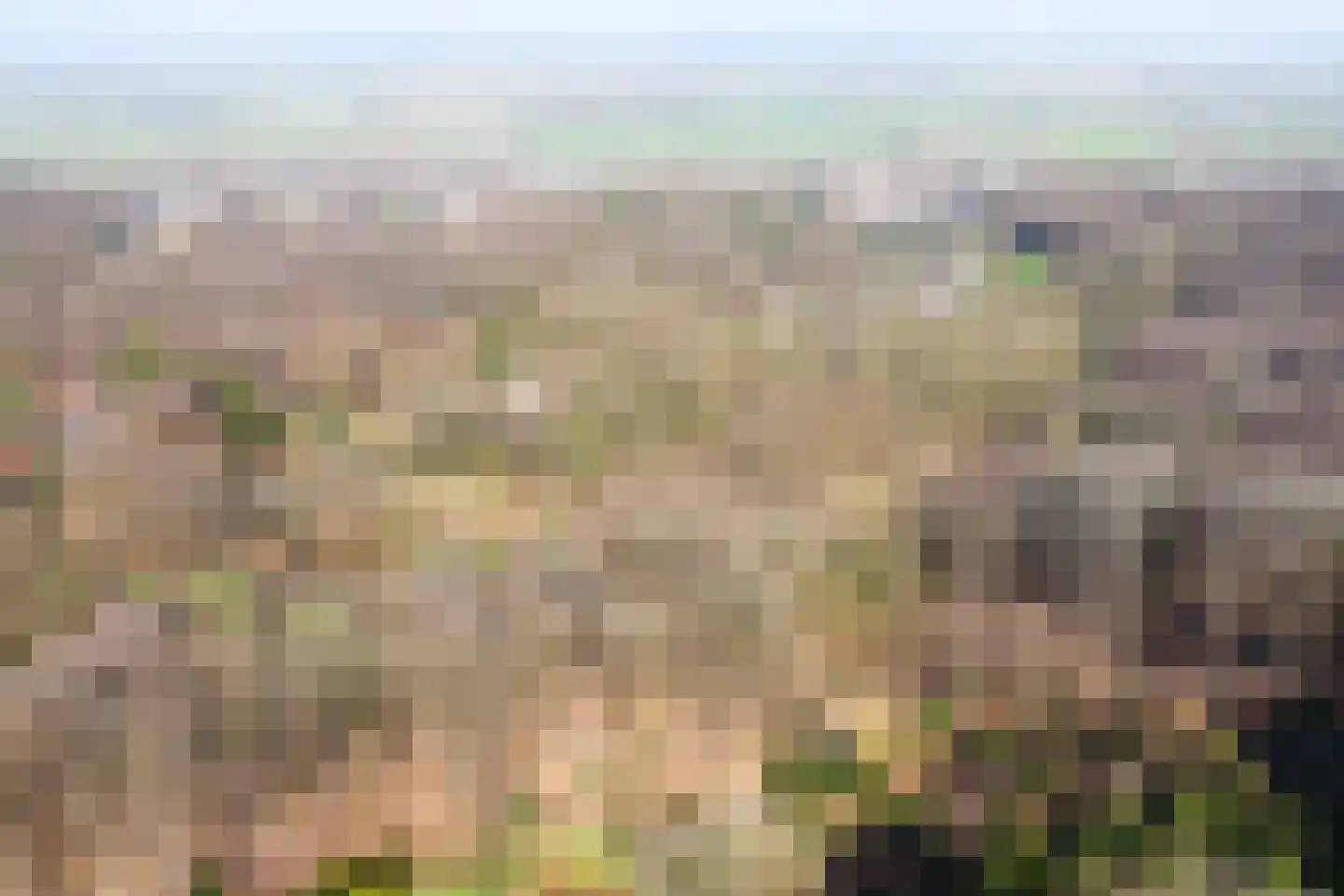 Oude Kleefsebaan 369 Berg en Dal thumbnail 32