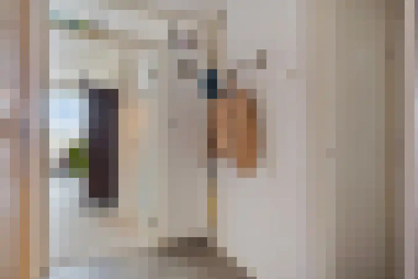 Oude Kleefsebaan 369 Berg en Dal thumbnail 6