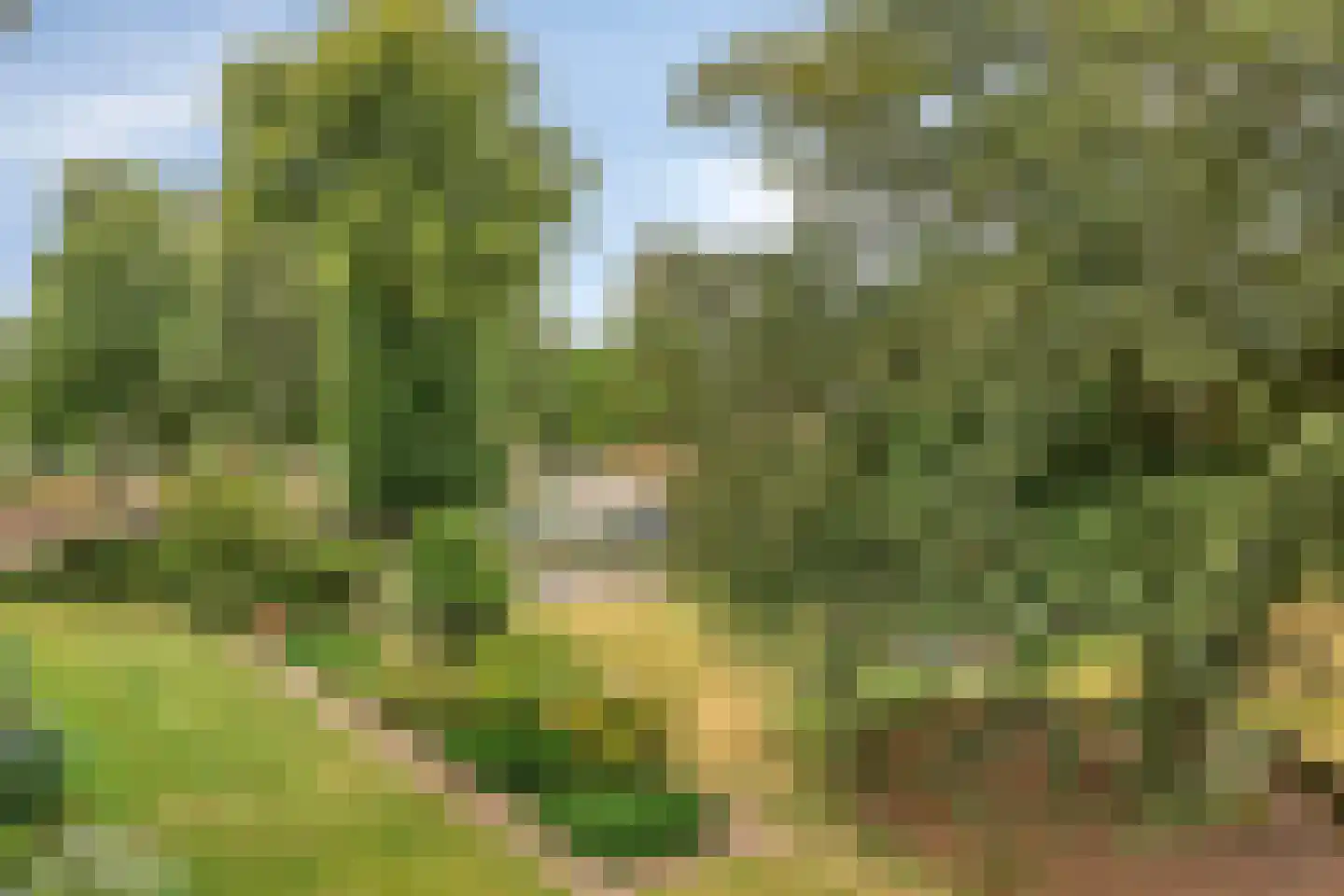 Oude Kleefsebaan 373 Berg en Dal thumbnail 24