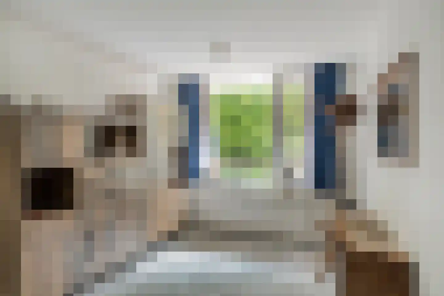 Oude Kleefsebaan 373 Berg en Dal thumbnail 9