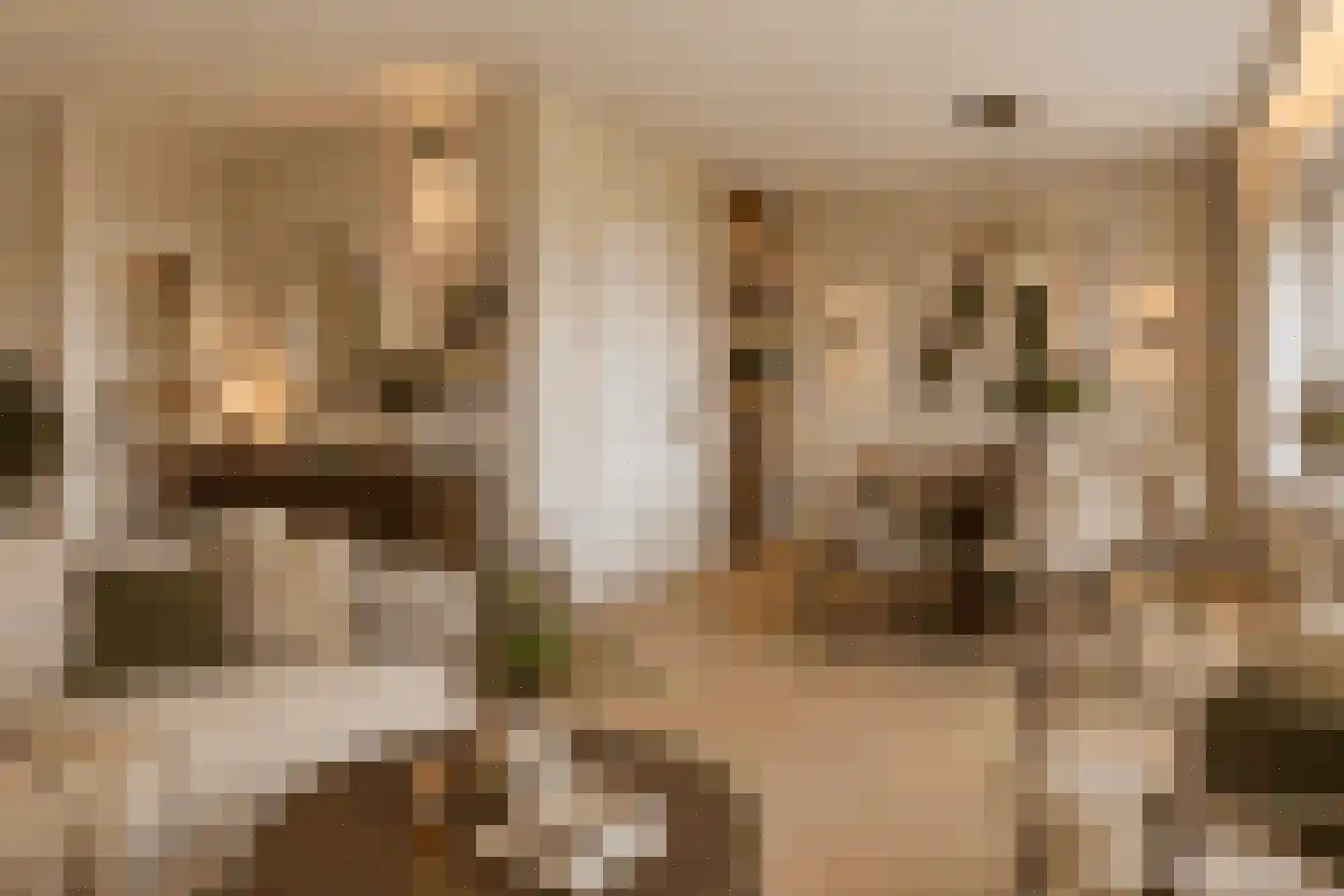 Oude Kleefsebaan 385 Berg en Dal thumbnail 16