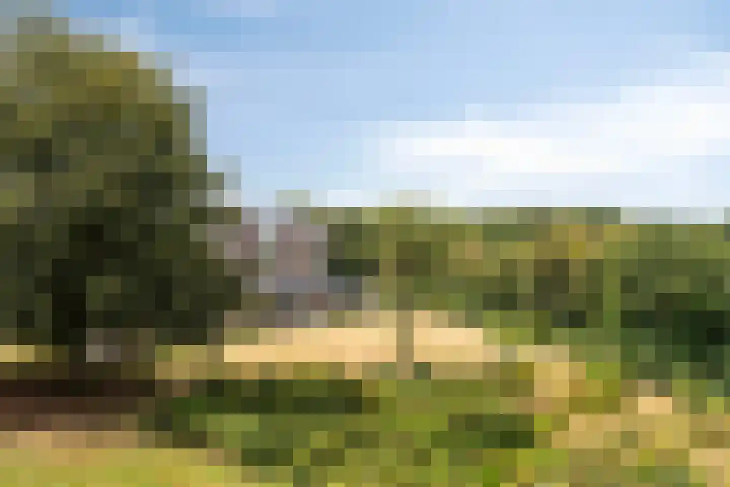 Oude Kleefsebaan 385 Berg en Dal thumbnail 34