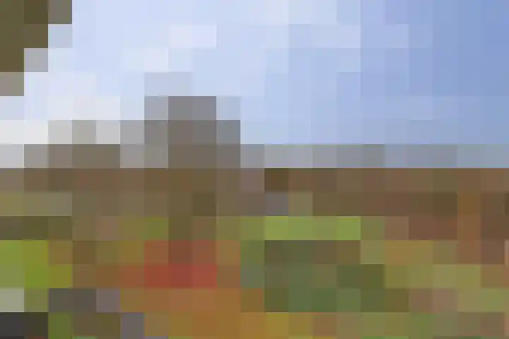 Oude Kleefsebaan 407 Berg en Dal thumbnail 19