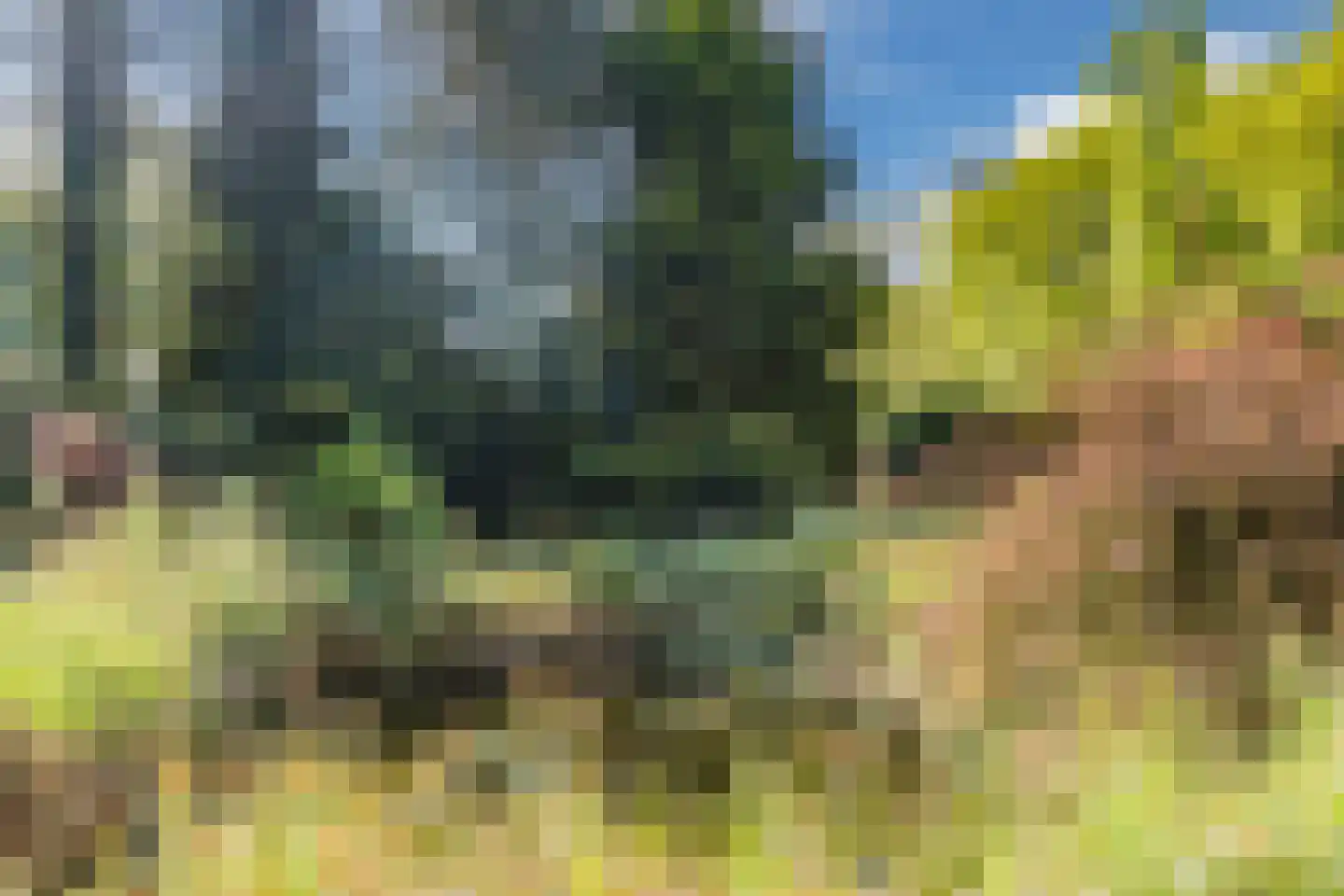 Oude Kleefsebaan 421 Berg en Dal thumbnail 62