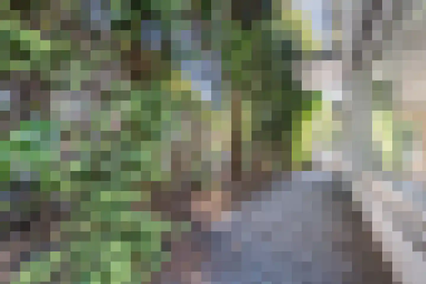 Oude Kleefsebaan 421 Berg en Dal thumbnail 64