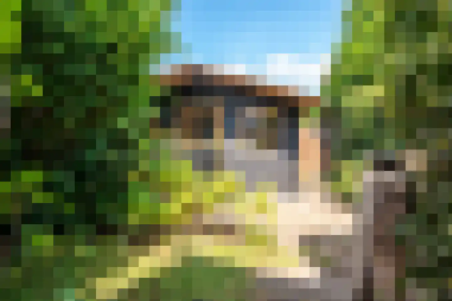 Oude Kleefsebaan 53 Berg en Dal thumbnail 40