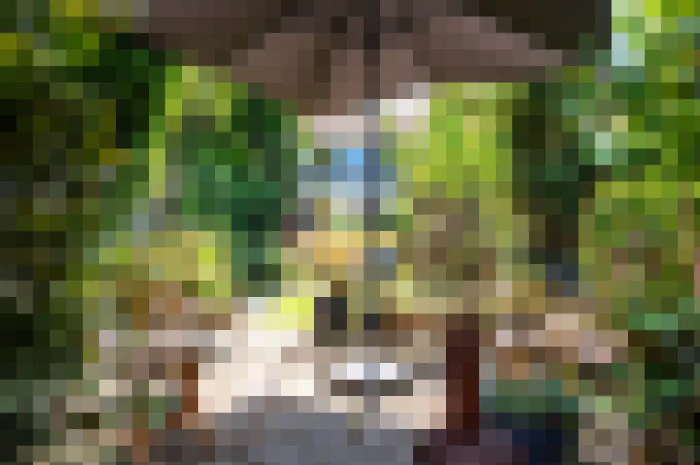 Oude Kleefsebaan 53 Berg en Dal thumbnail 43