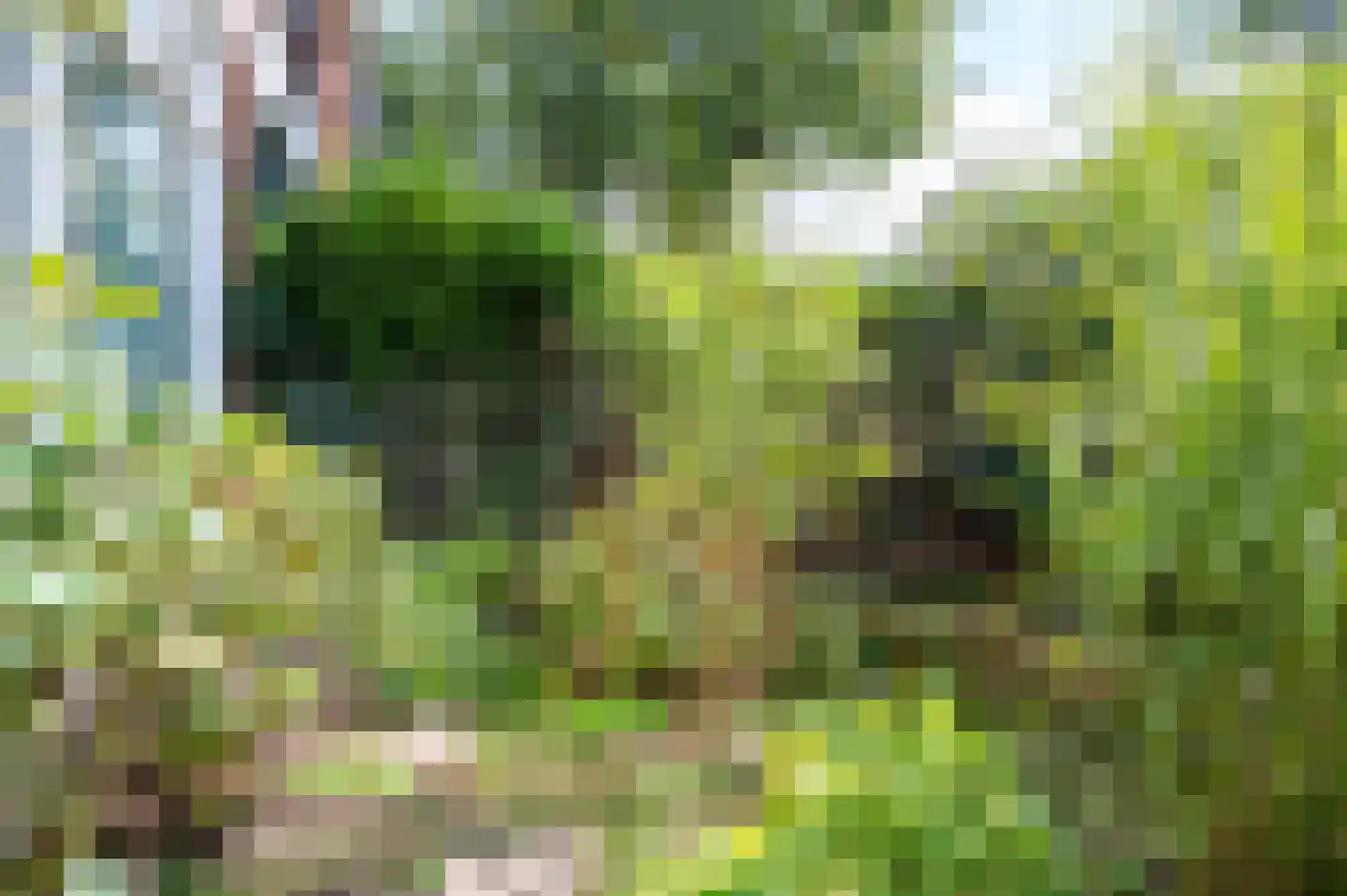 Oude Kleefsebaan 53 Berg en Dal thumbnail 45