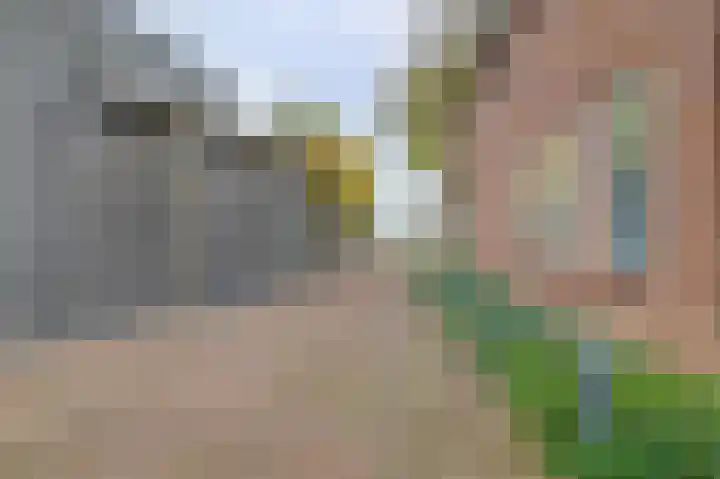 Oude Kleefsebaan 92 Berg en Dal thumbnail 49