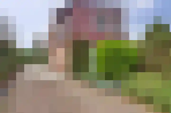 Oude Kleefsebaan 92 Berg en Dal thumbnail 54