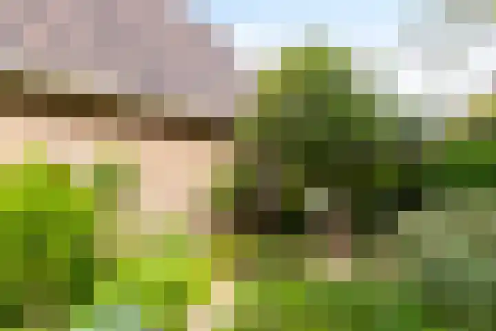 Oude Kleefsebaan 93 Berg en Dal thumbnail 29