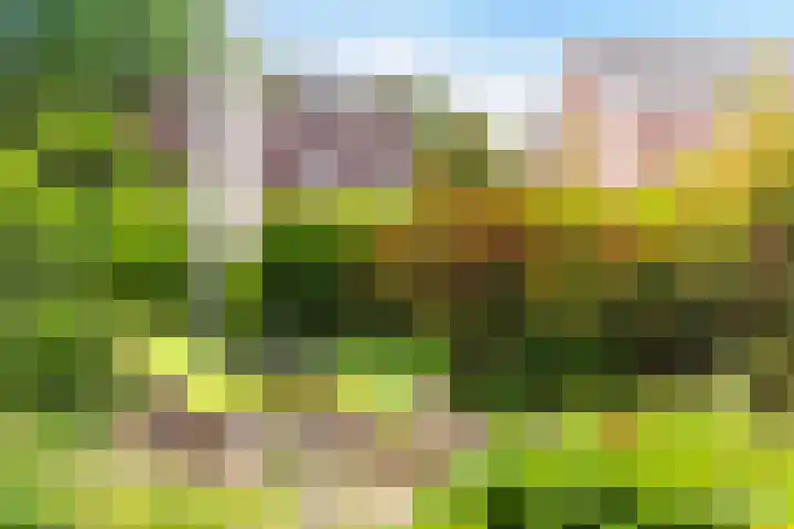Oude Kleefsebaan 93 Berg en Dal thumbnail 30