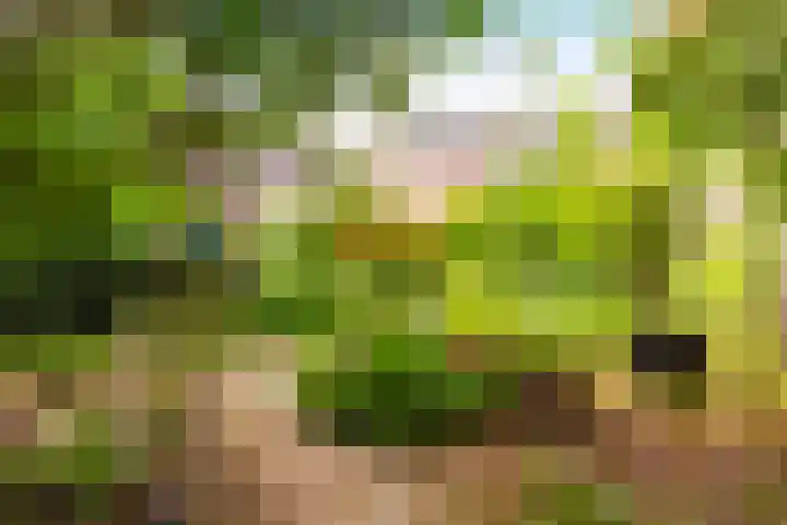Oude Kleefsebaan 93 Berg en Dal thumbnail 31