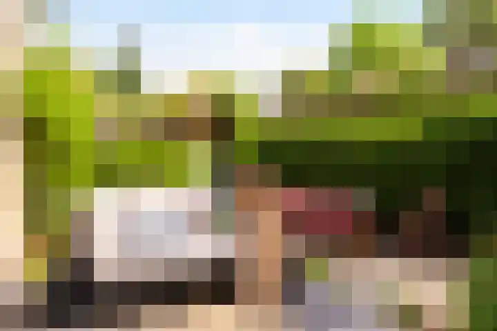 Oude Kleefsebaan 93 Berg en Dal thumbnail 35