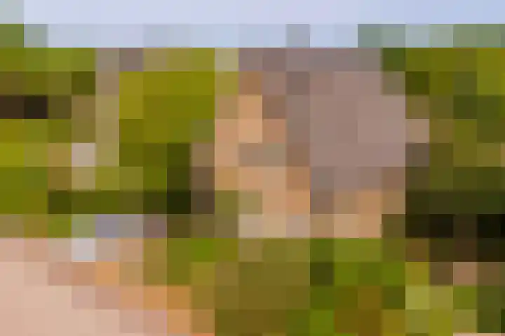 Oude Kleefsebaan 93 Berg en Dal thumbnail 37