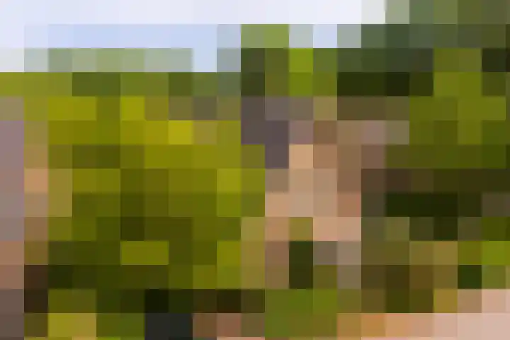Oude Kleefsebaan 93 Berg en Dal thumbnail 38