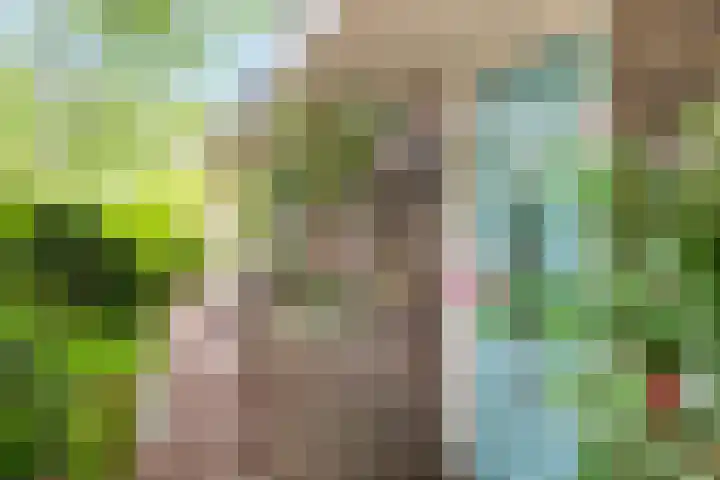 Oude Kleefsebaan 93 Berg en Dal thumbnail 4