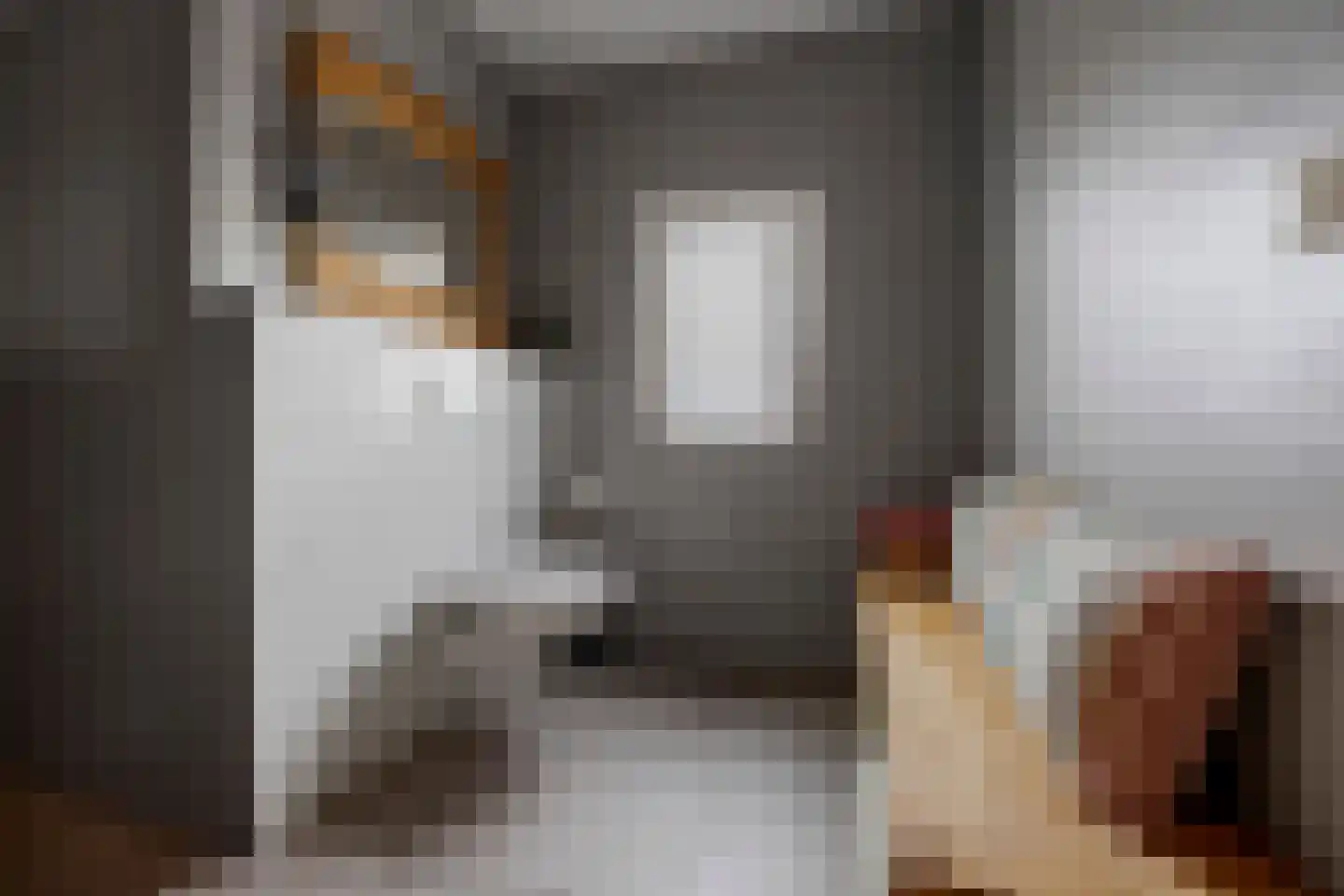 Oude Kleefsepostweg 2 Spijk thumbnail 10