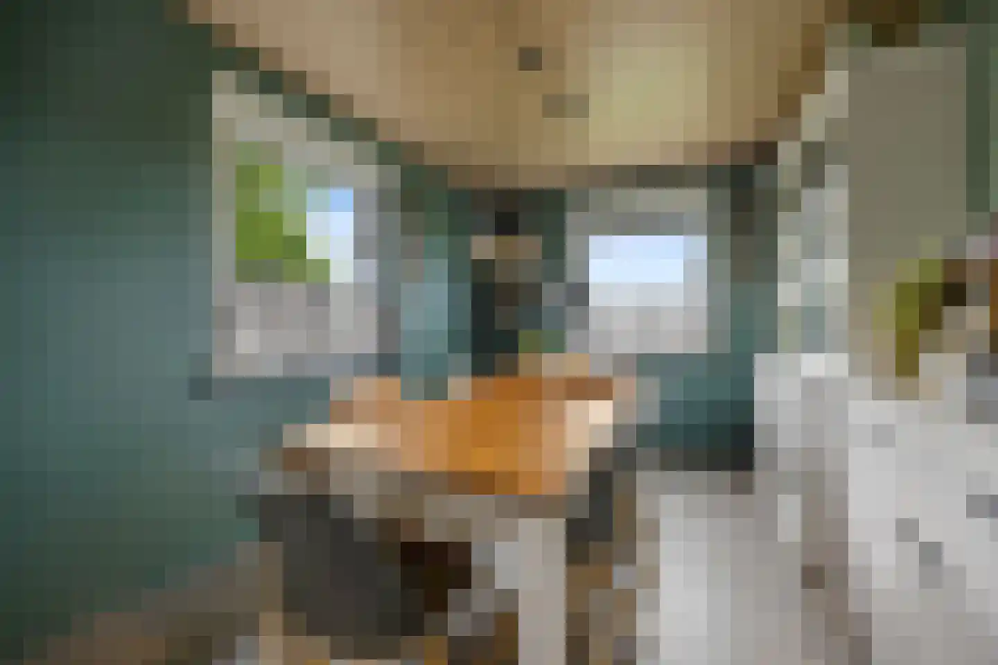 Oude Kleefsepostweg 2 Spijk thumbnail 20