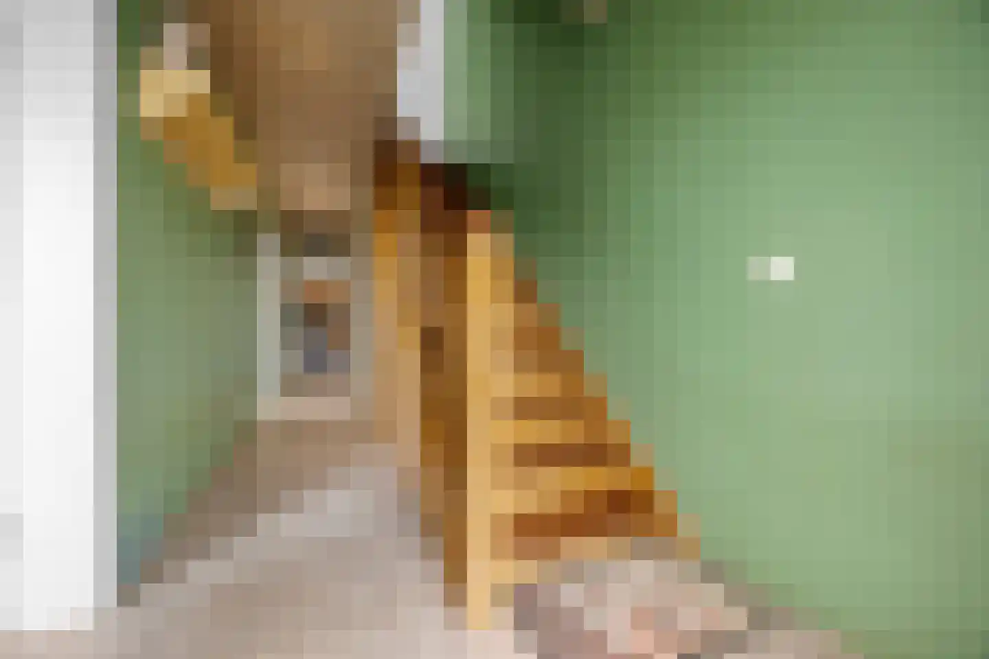 Oude Kleefsepostweg 2 Spijk thumbnail 26
