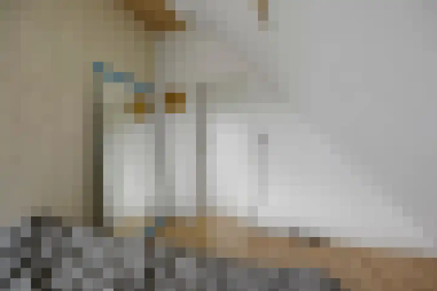Oude Kleefsepostweg 2 Spijk thumbnail 31