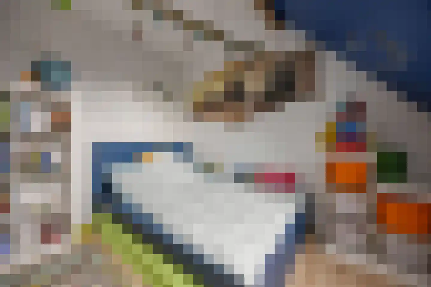 Oude Kleefsepostweg 2 Spijk thumbnail 37