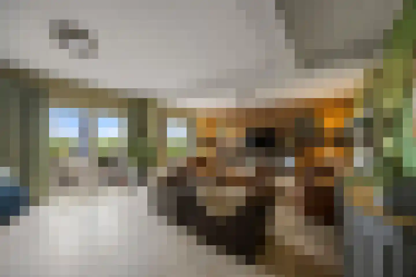 Oude Kleefsepostweg 2 Spijk thumbnail 4