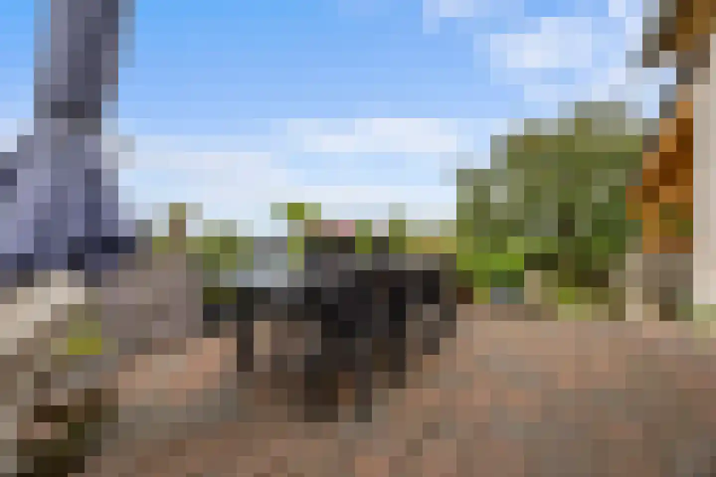 Oude Kleefsepostweg 2 Spijk thumbnail 42
