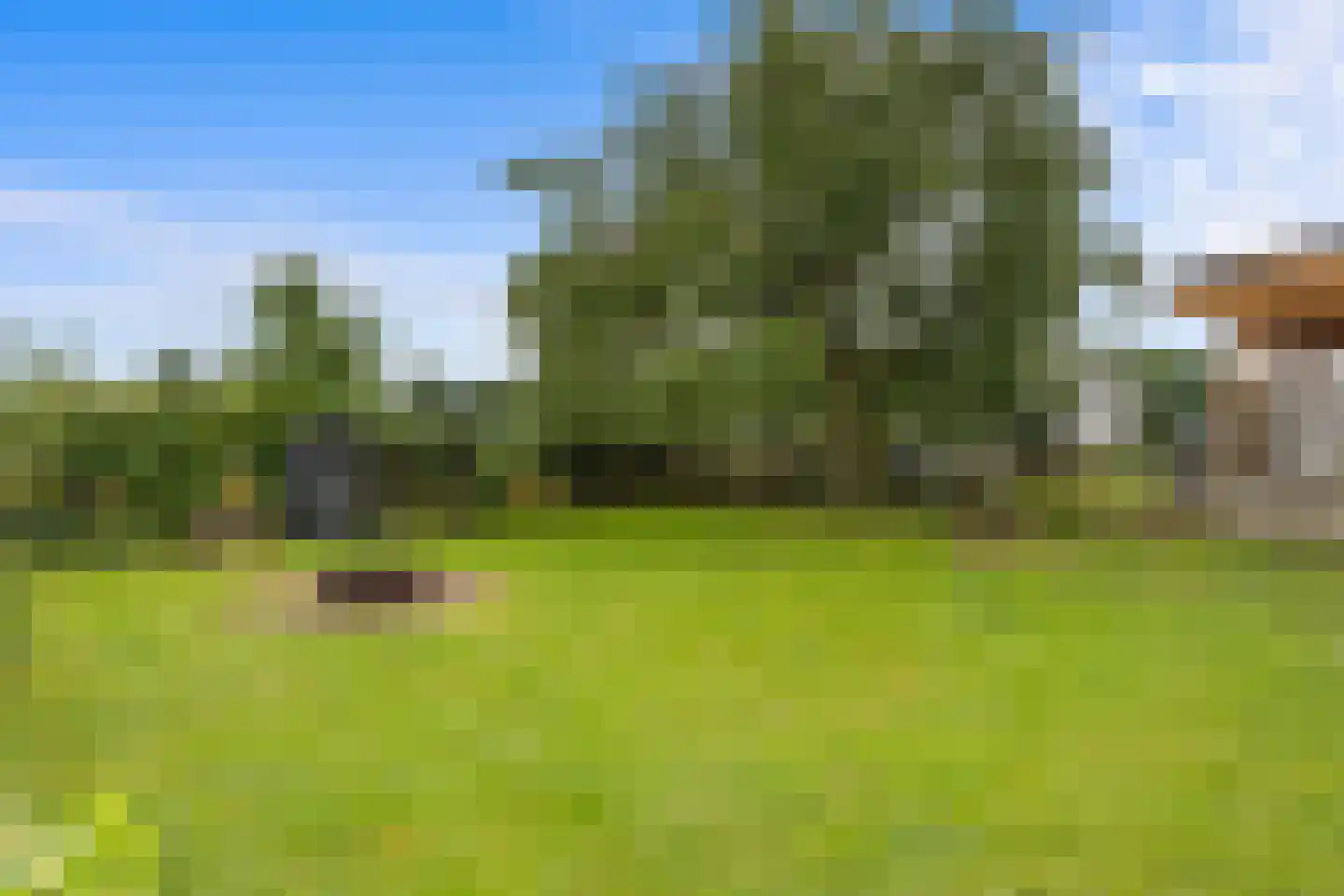 Oude Kleefsepostweg 2 Spijk thumbnail 45