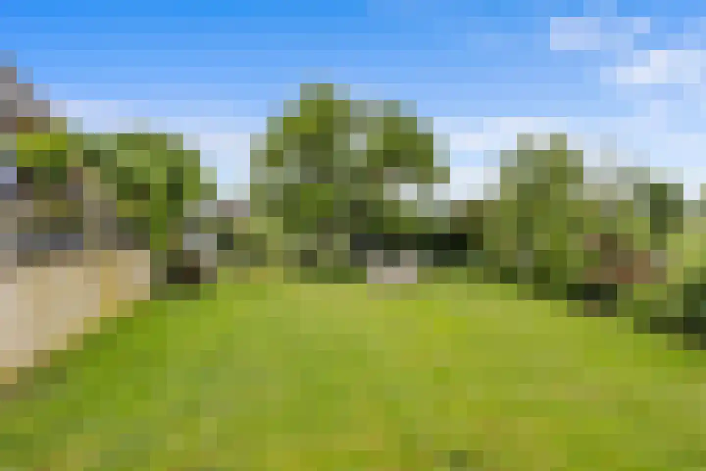 Oude Kleefsepostweg 2 Spijk thumbnail 46